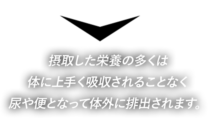 摂取した栄養の多くは 体に上手く吸収されることなく 尿や便となって体外に排出されます。