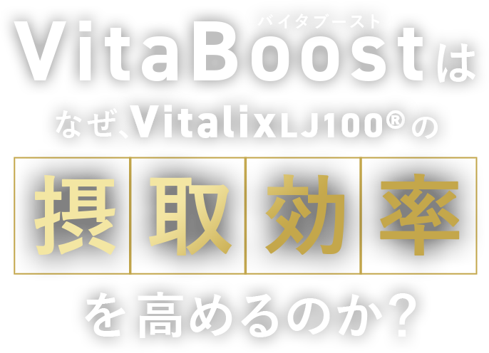 VitaBoostはなぜ、VitalixLJ100®の摂取効率を高めるのか？