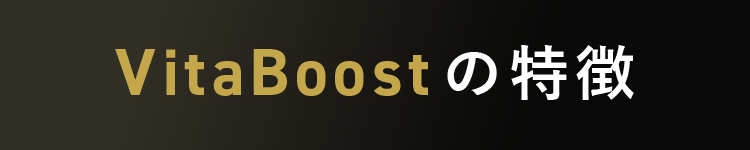 VitaBoostの特徴